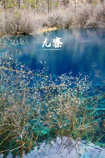 苏轼一生中被贬过几次？