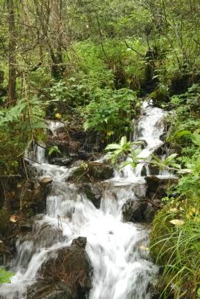 新春走基层·黄土地上的“大食物”∣一只羊的科技含量